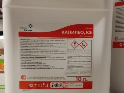 Капилео, КЭ