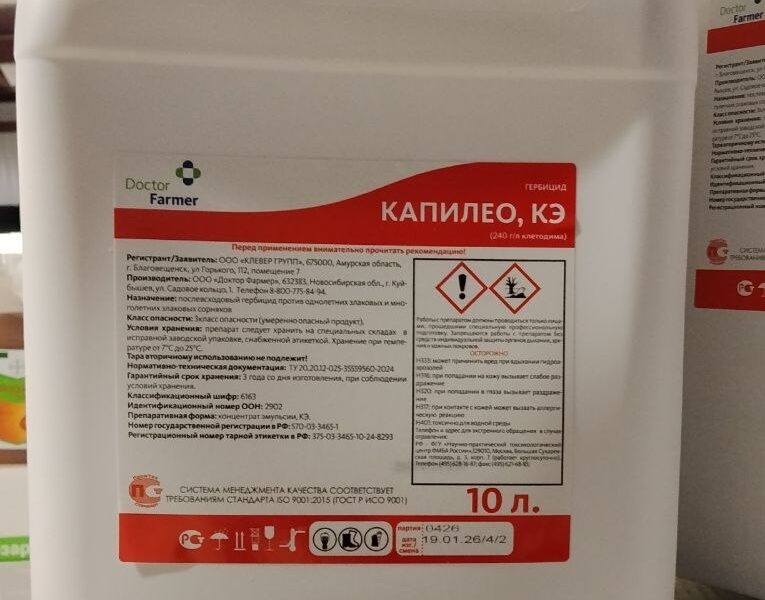 Капилео, КЭ