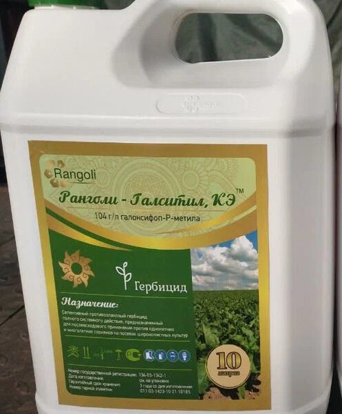Ранголи-Галситил, КЭ