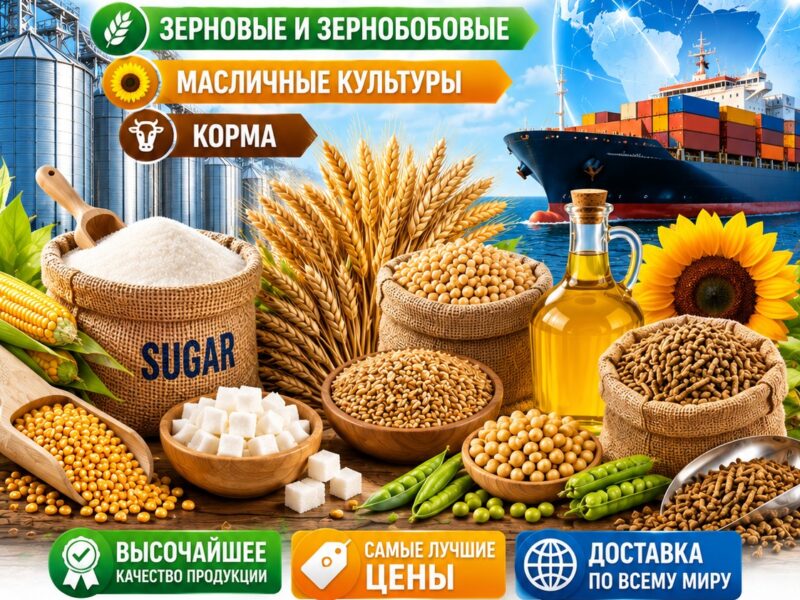 Сахар, зерновые и зернобобовые, масличные культуры, корма