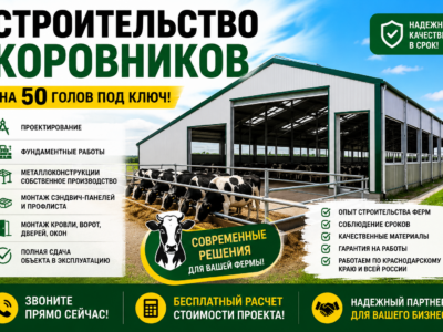 Строительство фермы на 50 голов КРС под ключ